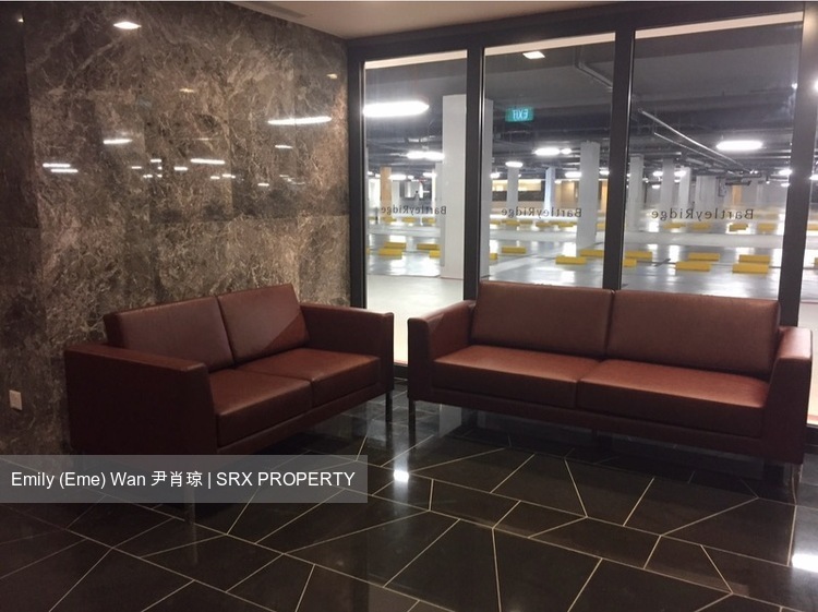 Bartley Ridge (D13), Condominium #486896901